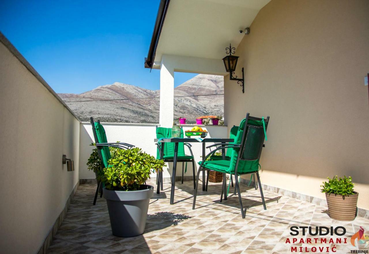 Studio Apartmani Milovic تريبينيي المظهر الخارجي الصورة